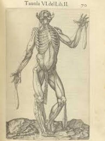 Anatomía del cuerpo humano