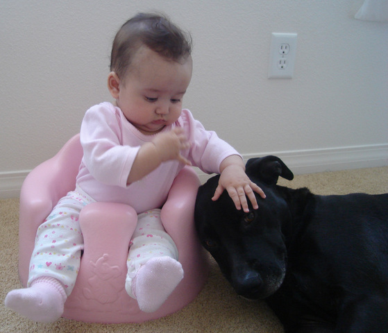 The Loss of a Best Friend (Category 6)