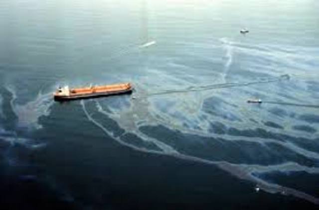 the Exxon Valdez Oil Spill
