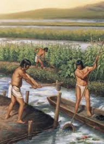 Organización agraria de los mayas