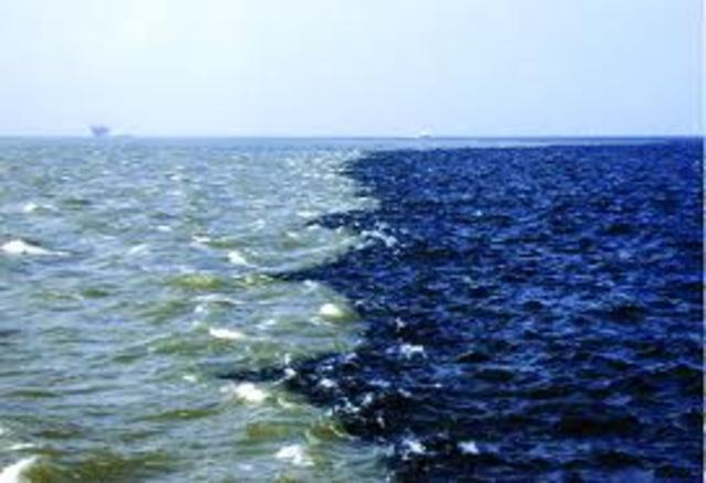 Gulf of Mexico Dead Zone