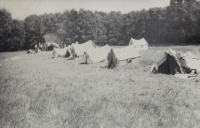 На отдыхе в зеленой зоне