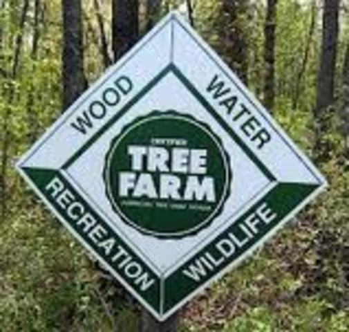 American Forestry Association founded