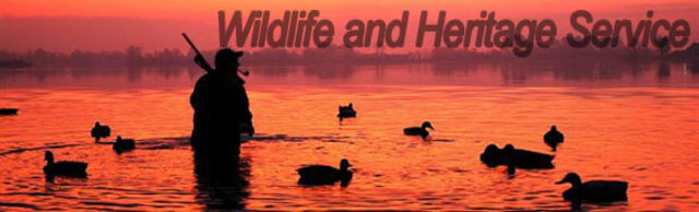 Migratory Bird Hunting Stamp Act