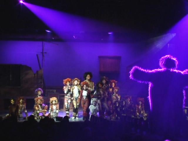 Joseph designs lighting for CATS