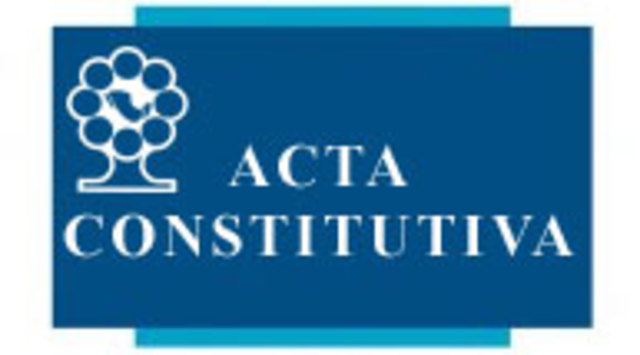 acta constitutiva y Constitución