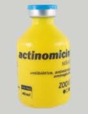 INGRESO DE LA  ACTINOMICINA