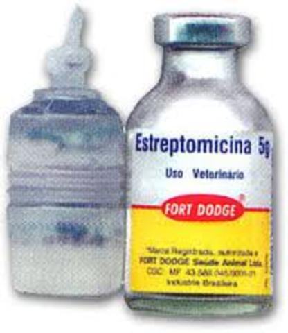 INGRESO DE  ESTREPTOMICINA A LOS ANTIBIOTICOS