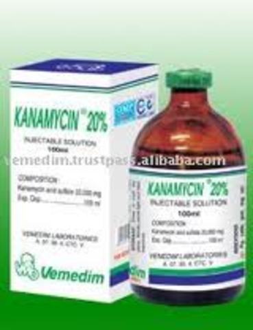 KANAMICINA