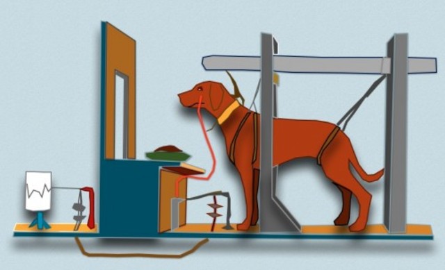 The Salivating Dog Experiment