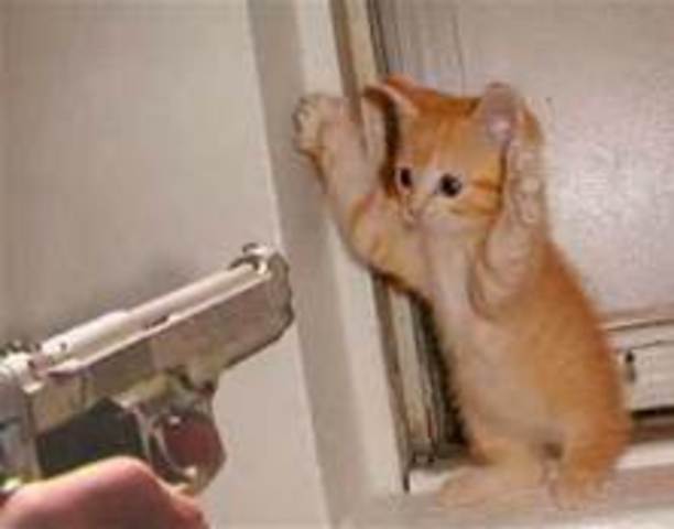 A break with england