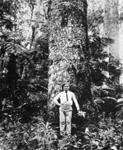 Founding of American Forestry Association