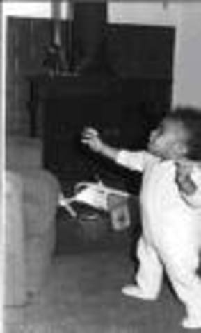 El ano que aprendi a caminar