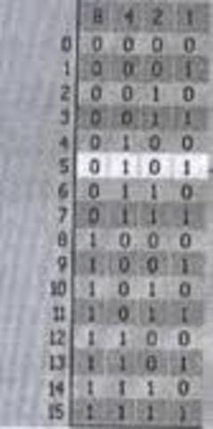 DOMINACION DEL CÓDIGO BINARIO