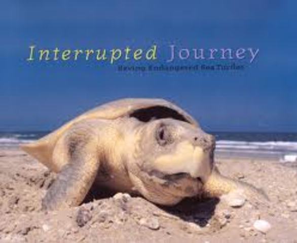 Interrupted Journey by Kathryn Lasky