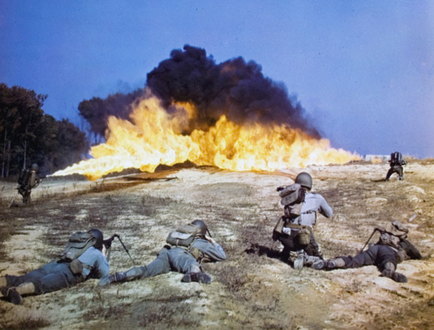 The Years of World War II