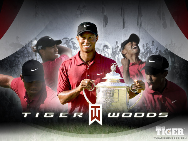 Tiger Becomes the New #1 Again