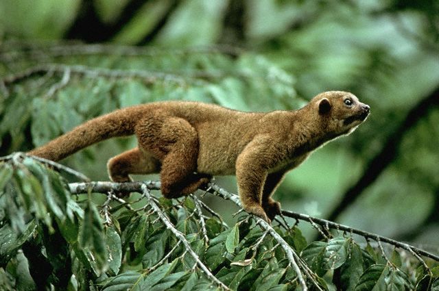 If you Build it, They will come