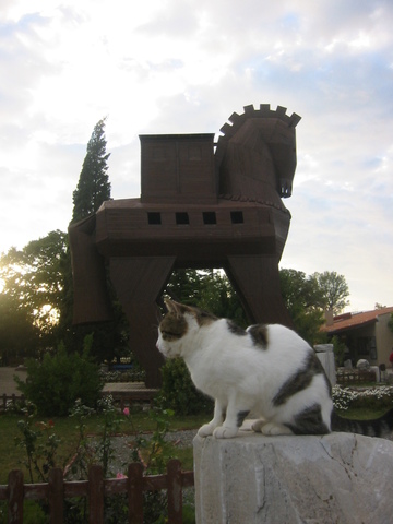 Departure from Troy!