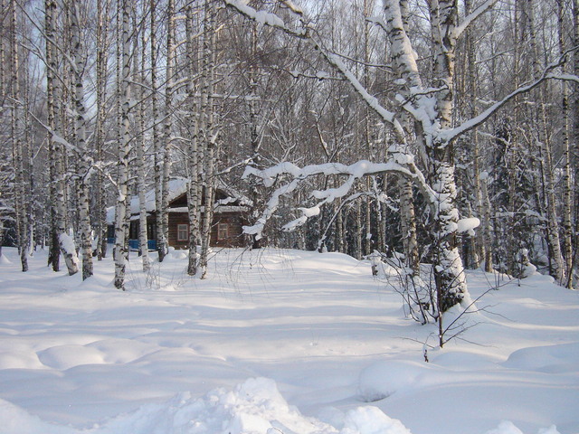 New Year celebration in the coutry cottage