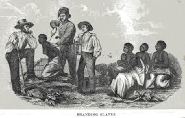 Slavery Abolition Act got Royal Assent