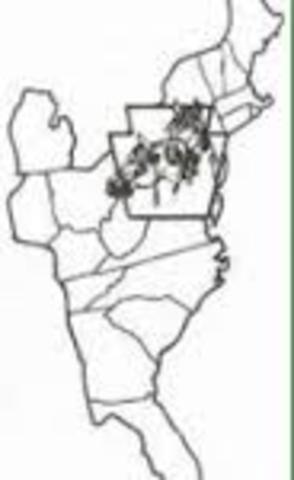 Impotant event from my own life - East Coast Championship Horse Show