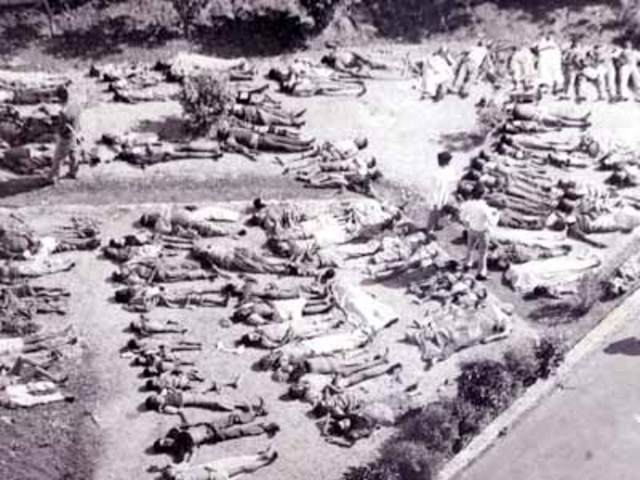 The Bhopal Disaster