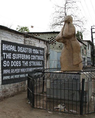 The Bhopal Disaster