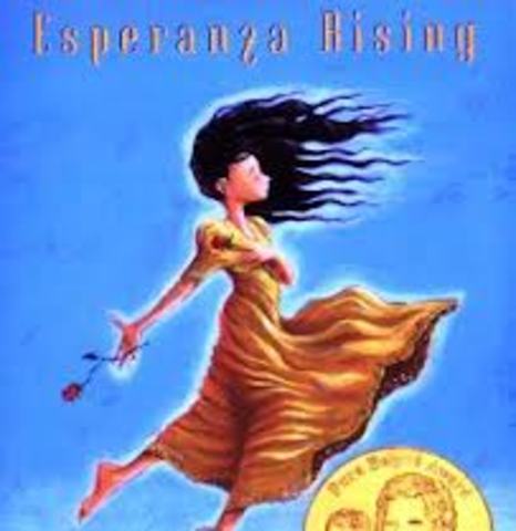 my first chapter book