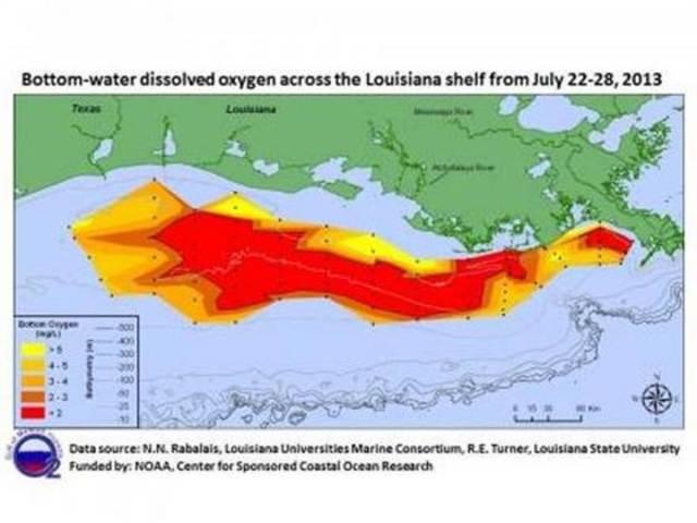 Gulf of Mexico Dead Zone