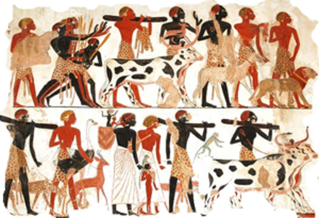 Neolithic Revolution