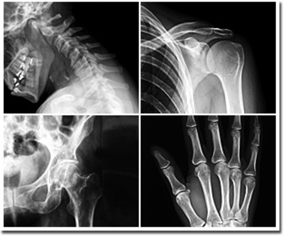 Jefe de Servicio de Cirugía Ortopédica y Traumatología