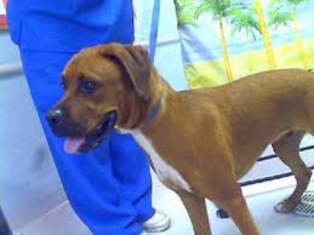 The most important day of my life. :D