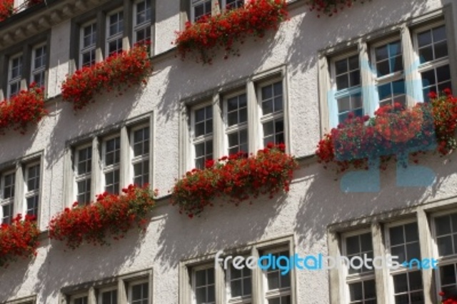 Renting An apartment