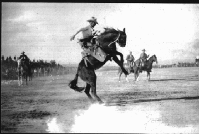 Los indicios del Rodeo Profesional en Estados Unidos