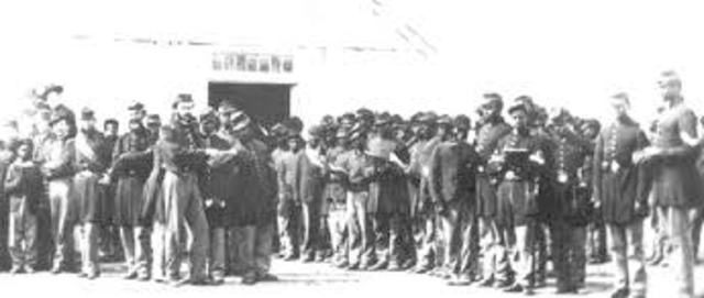 The First Group of black Salves