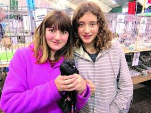 First time I won a pigeon show