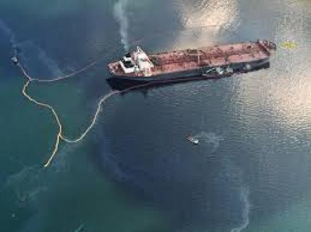 The Exxon Valdez Oil Spill