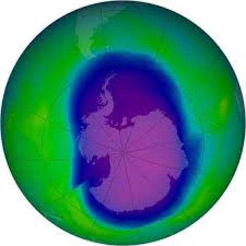first observation of ozone layer harm