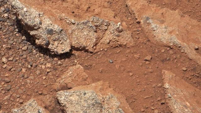 Impactante descubrimiento