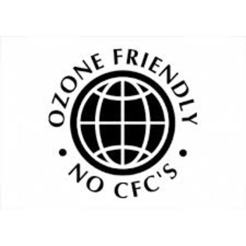 The first step to helping the Ozone layer