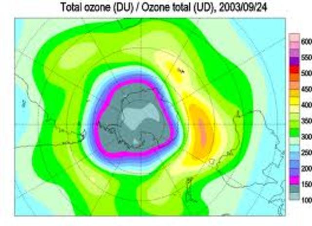 Voting for a stronger Montreal