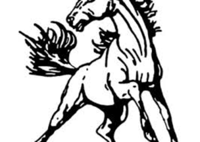 Graduated High School