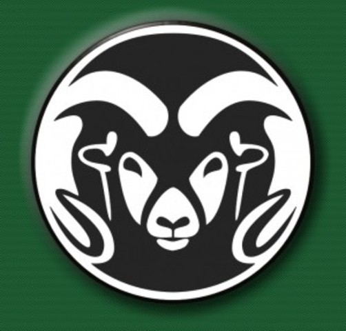 Begin Looking for Colleges