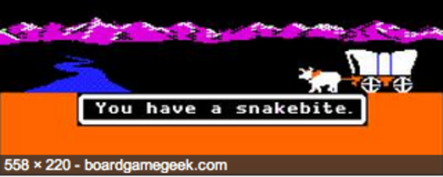died of snakebite playing "oregon trail" in my homeroom class.