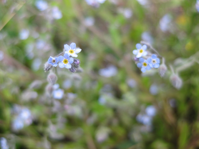 Tallinna Arte Gümnaasiumi esimene nimepäev