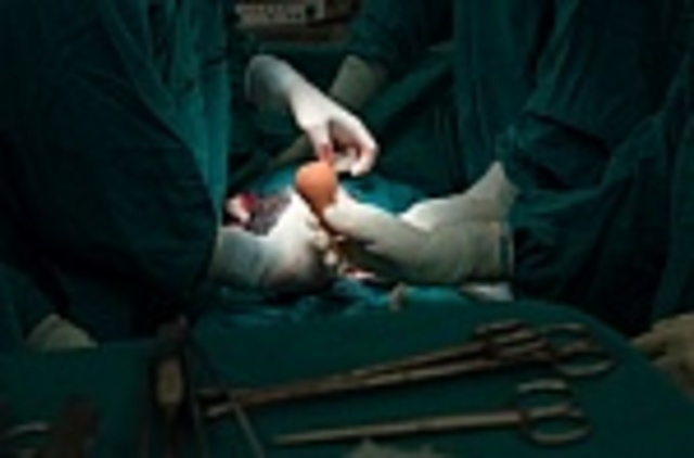 Have kids Adult 25 - 40