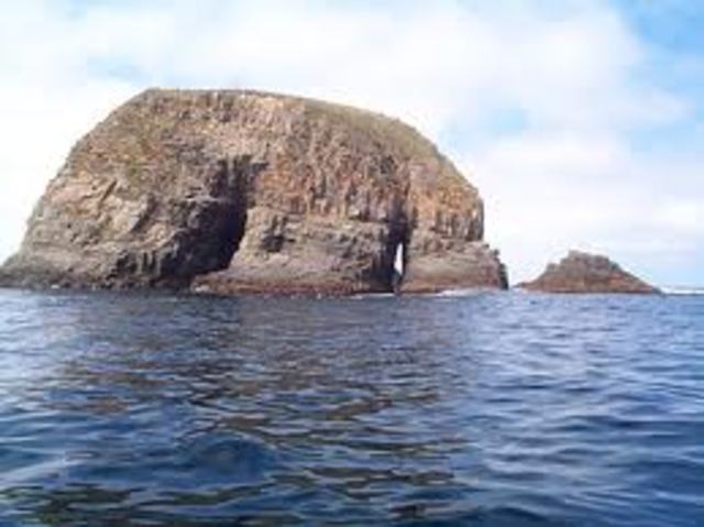 Primary succession started