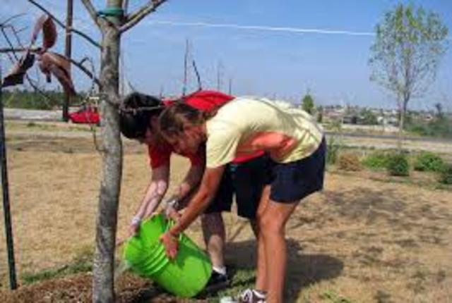 Plant life growing back