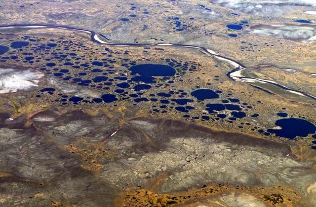 Shrubs and other organisms began to grow